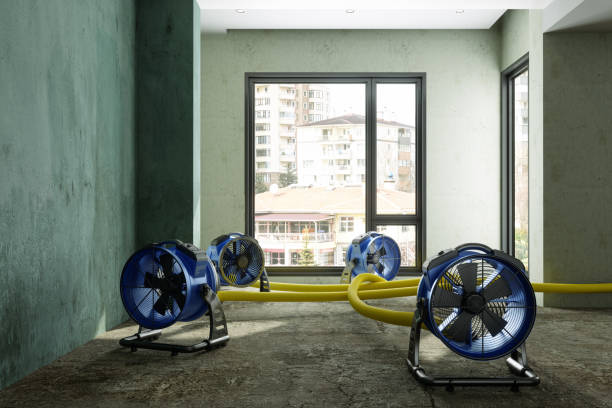 Best Emergency Water Extraction Services in USA